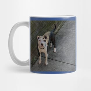 Madden (OneTake) Mug